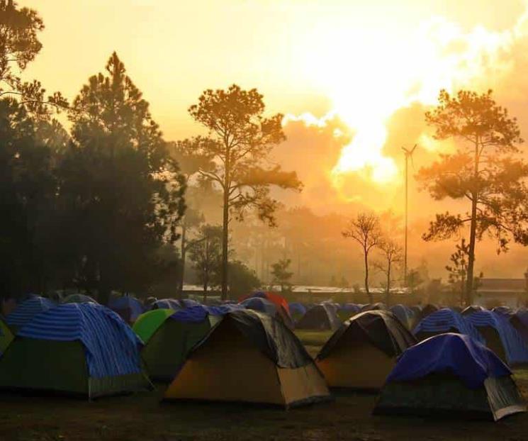 Se roban a niña de campamento, ofrecen millonaria recompensa