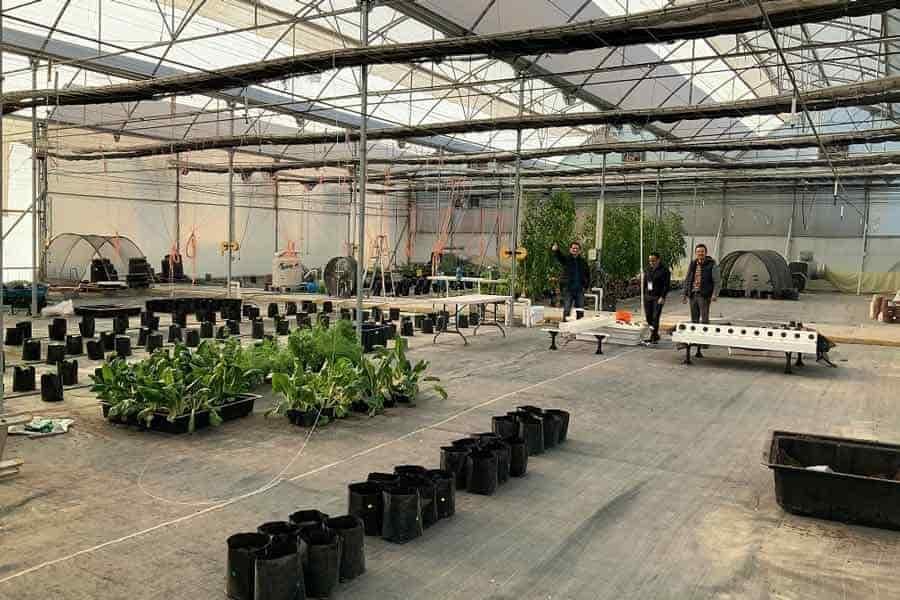 ¡El Tec y la U de Maryland colaboran por la sostenibilidad!