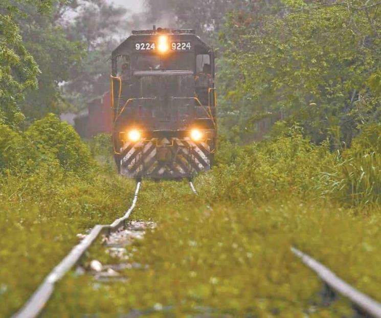 Intereses de la derecha detrás de amparos contra Tren Maya