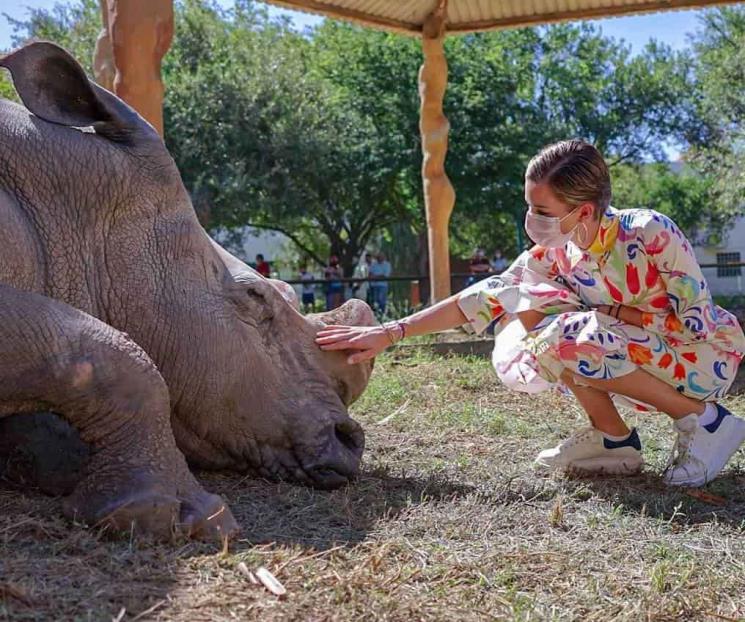 Busca Mariana mejorar vida animal en La Pastora