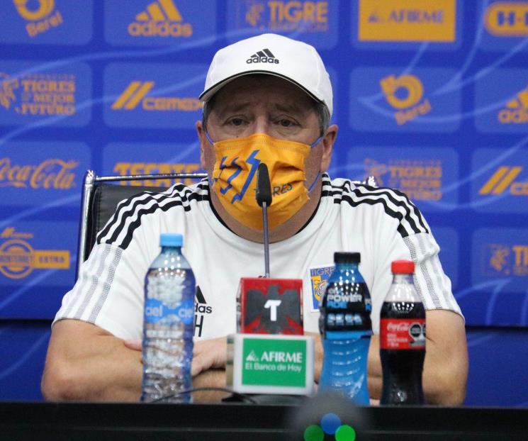 Tienen felinos más presión de campeonar