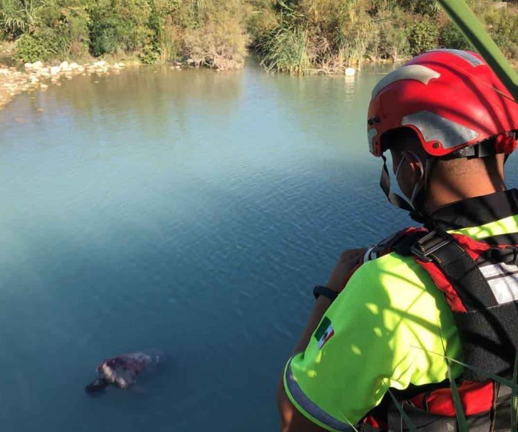 Hallan cadáver flotando en el Río Pesquería 