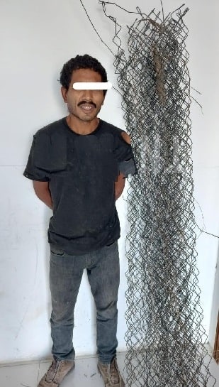 Lograron la detención de un hombre que estaba robando la malla ciclónica de una huerta