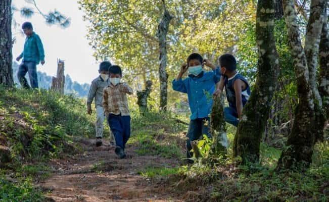 La vieja normalidad de la región triqui de Oaxaca