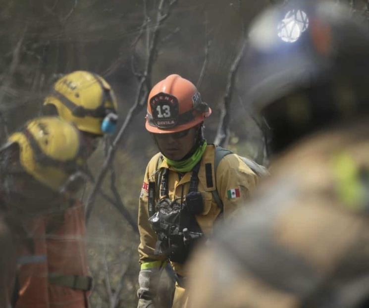 Suman esfuerzos contra los incendios forestales
