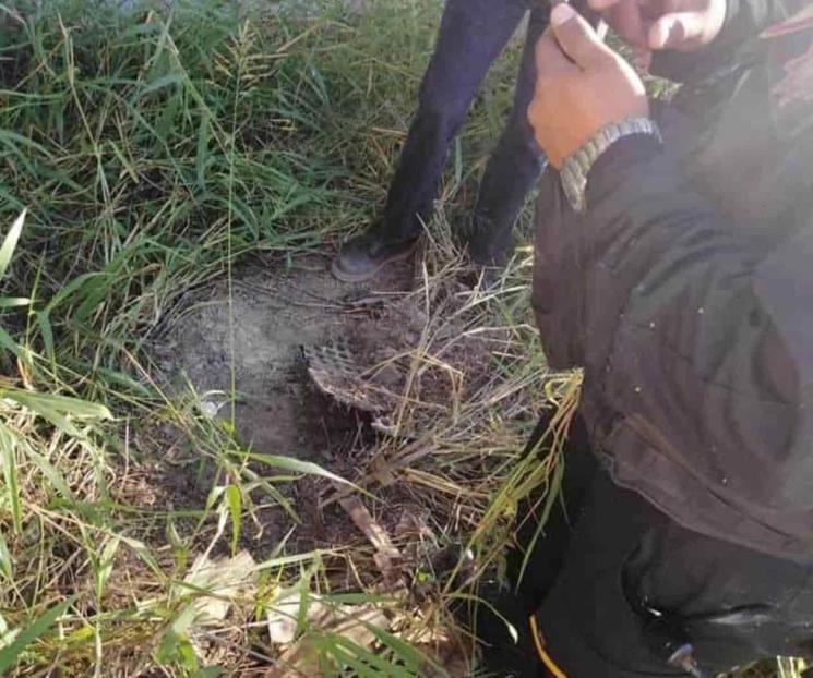 Encuentran restos humanos en Marín