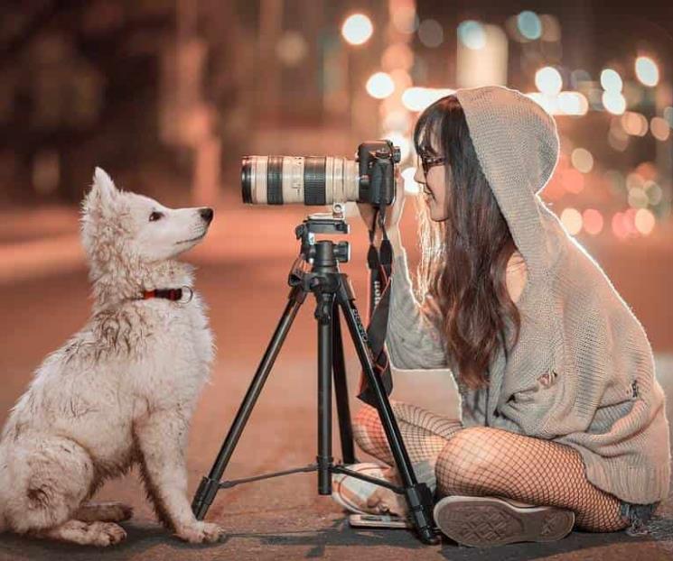 Aprende de foto y video en plataforma online Alpha Academy