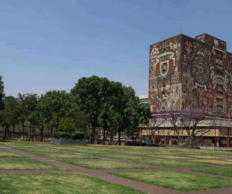 Científicos UNAM buscan tratamientos contra cáncer sin dolor