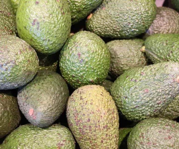 En Australia destruyen aguacates ante desplome de precios