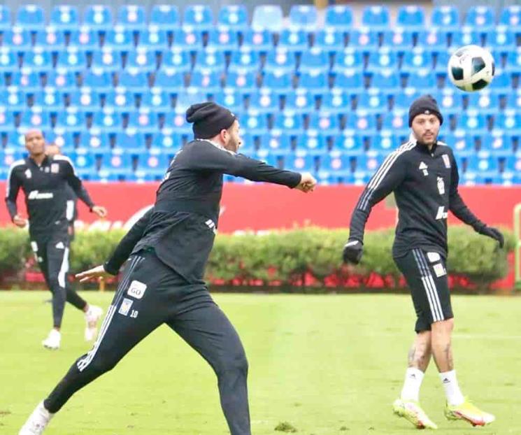 Tigres, por calificación directa