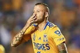 ¿Diente... o Colmillo?