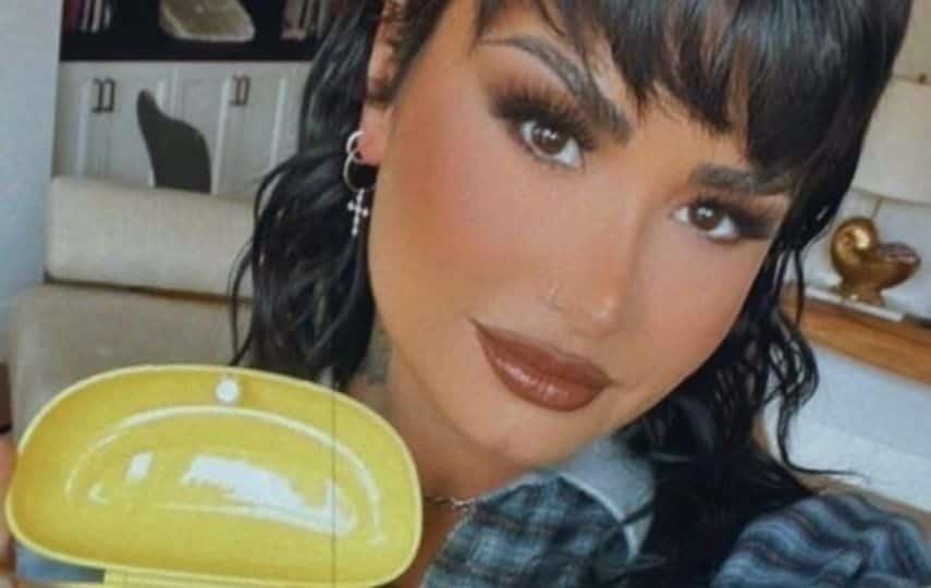 Demi Lovato lanza su primer juguete sexual Demi Lovato lanza su primer juguete sexual