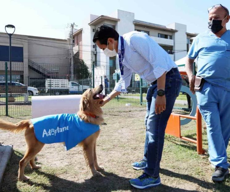 Realizan en SN “Adopta Como un Héroe”