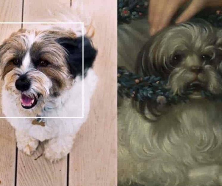 Esta app te ayuda a encontrar gemelo de mascota en el arte