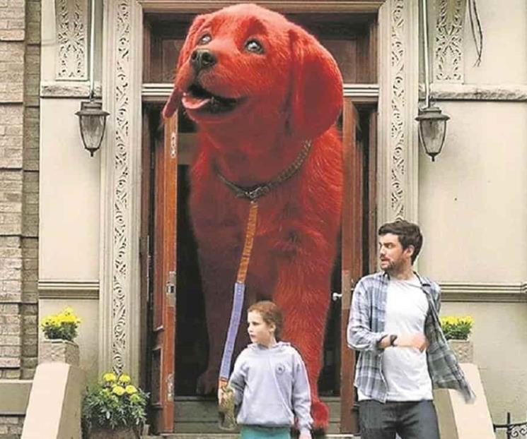 Clifford busca acrecentar la tolerancia actual