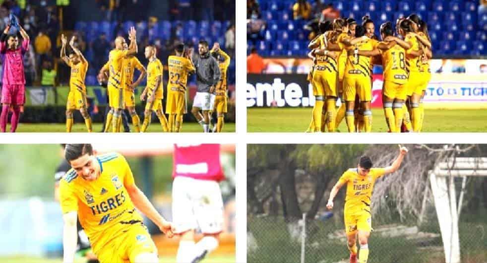 Destaca Tigres en todas sus categorías