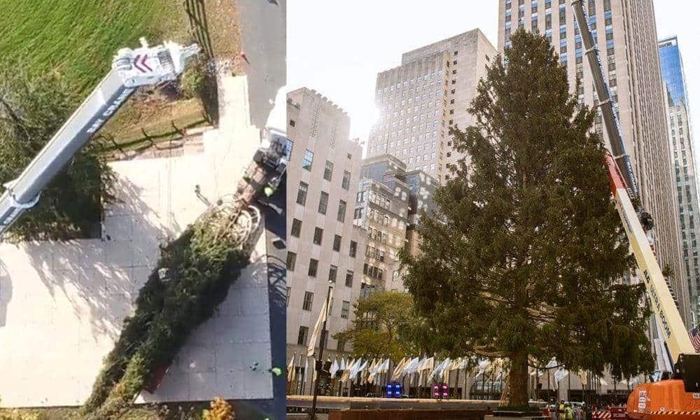 Llega árbol de Navidad para el Rockefeller Center