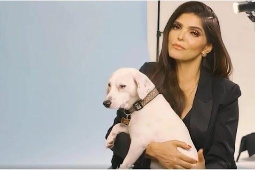 Ana Bárbara, una superheroína de los perros en PETA Latino Ana Bárbara, una superheroína de los perros en PETA Latino