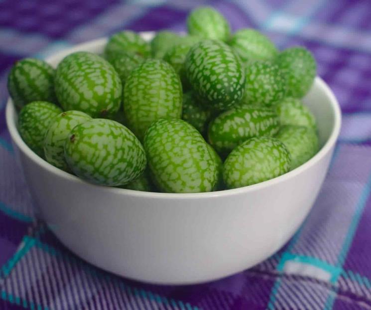 Cucamelón, la pequeña fruta mexicana que querrás probar