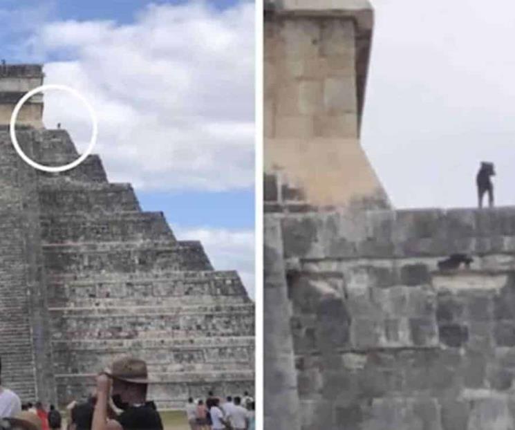 Captan a perrito en la cima de Chichen Itzá