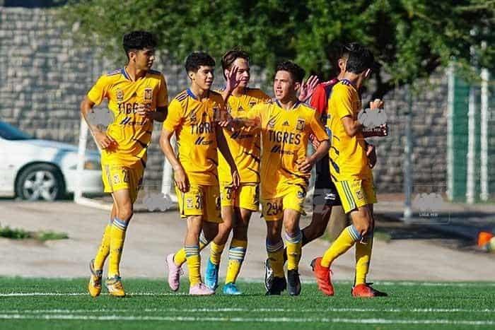 Tienen felinos Sub-20 y Sub-16 duelos de liguilla