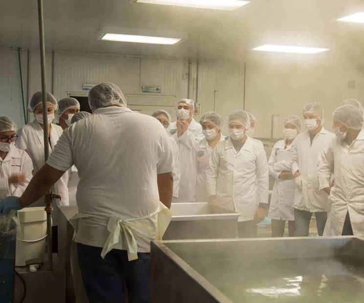 Perfilan al egresado en ciencias naturales y agropecuarias