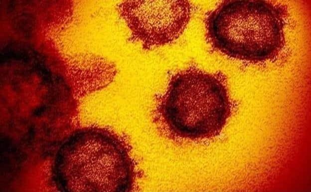 Lo que se sabe de primer paciente con variante ómicron en EU