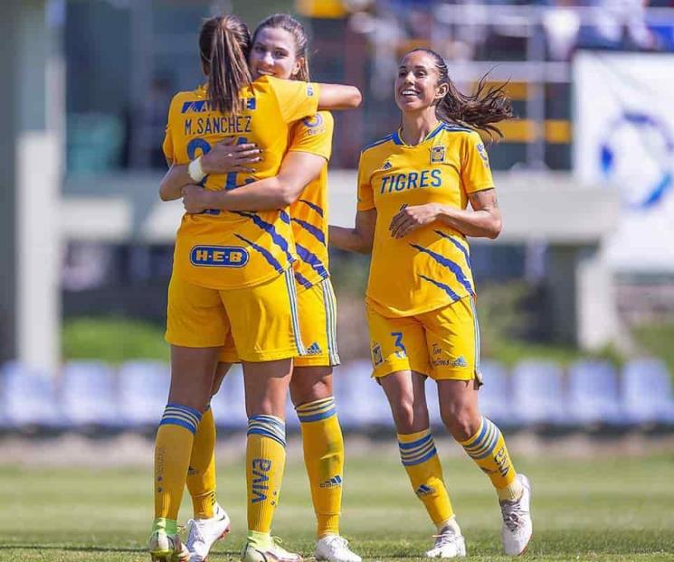 ¡Felinas apabullantes!