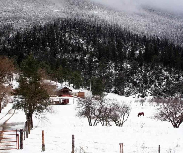 Arteaga, el destino turístico de México donde puedes esquiar Arteaga, el destino turístico de México donde puedes esquiar