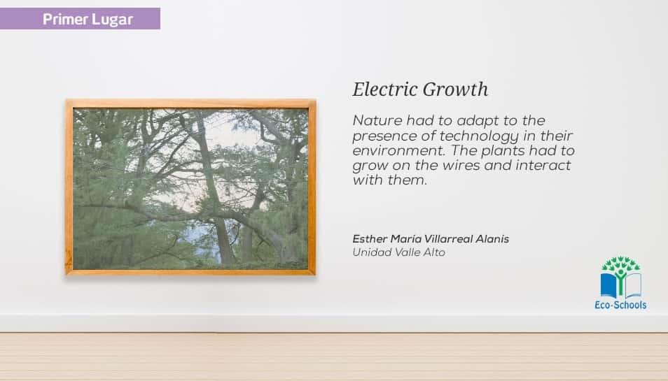 Reflexionan sobre relación entre naturaleza y tecnología