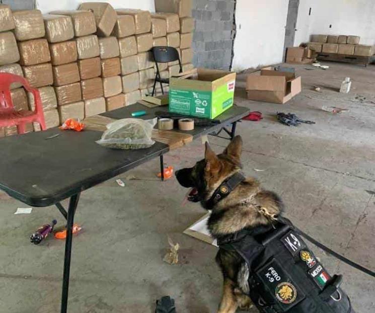 Aseguran droga y armas en cateo a bodega