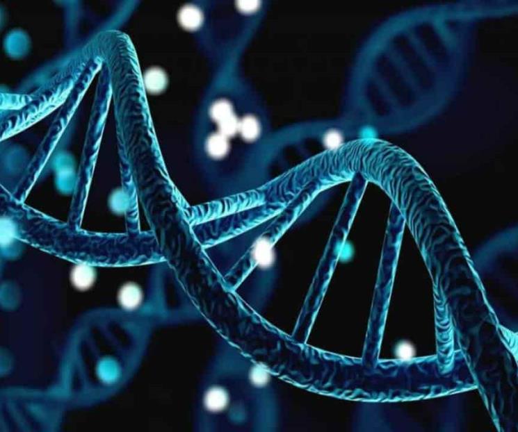 Avanza en tecnología de almacenamiento basado en ADN