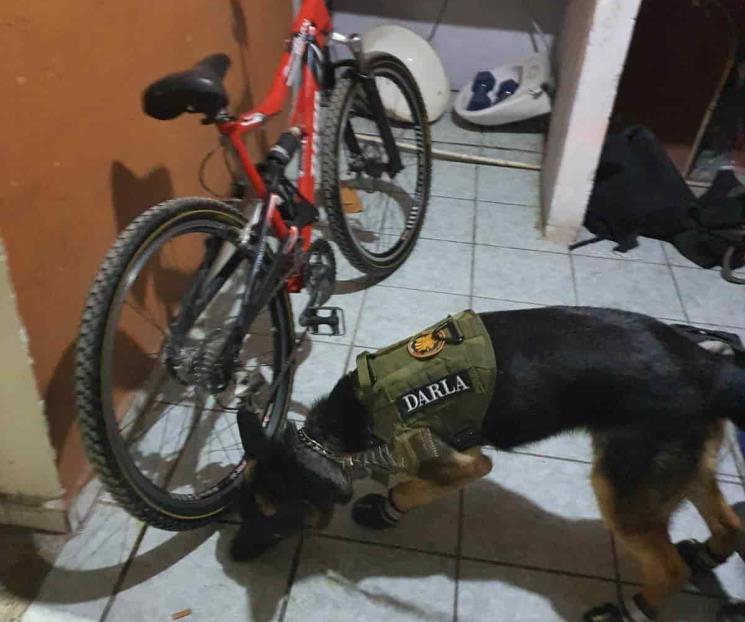 Aseguran armas largas y droga