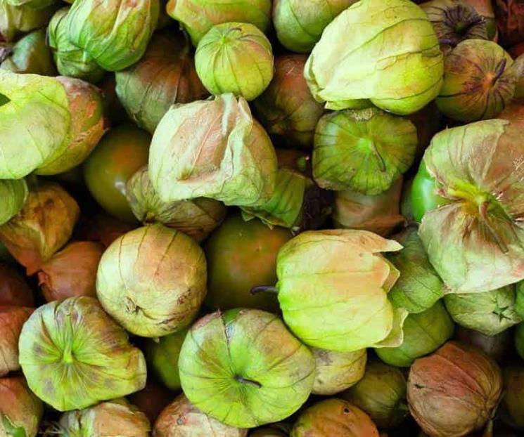 Lo mejor del tomate verde está en la cáscara