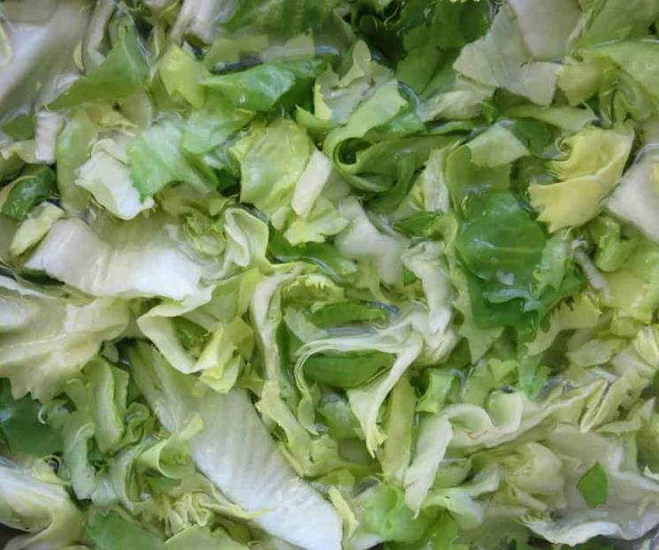 Conoce las endibias y sus beneficios