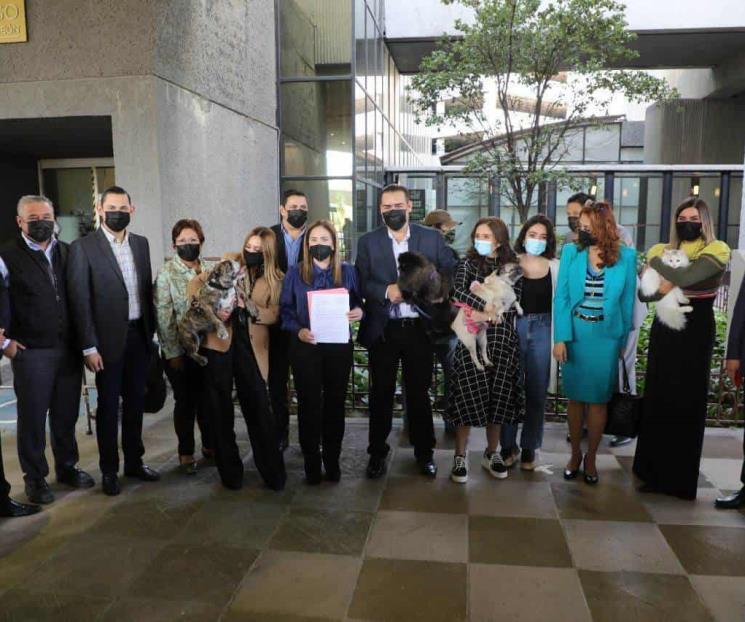 Aumentan sanciones por maltrato animal