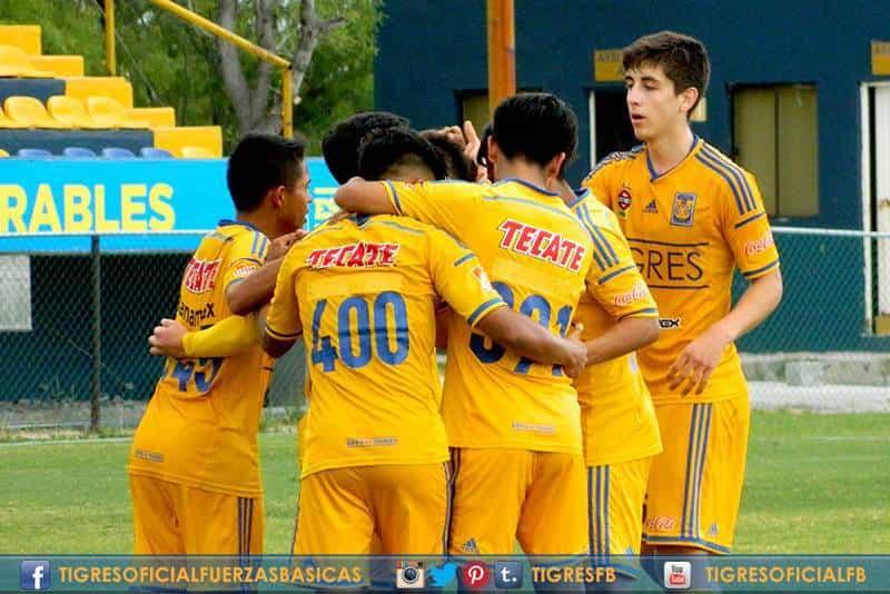 Prepara Tigres la base mexicana para el futuro