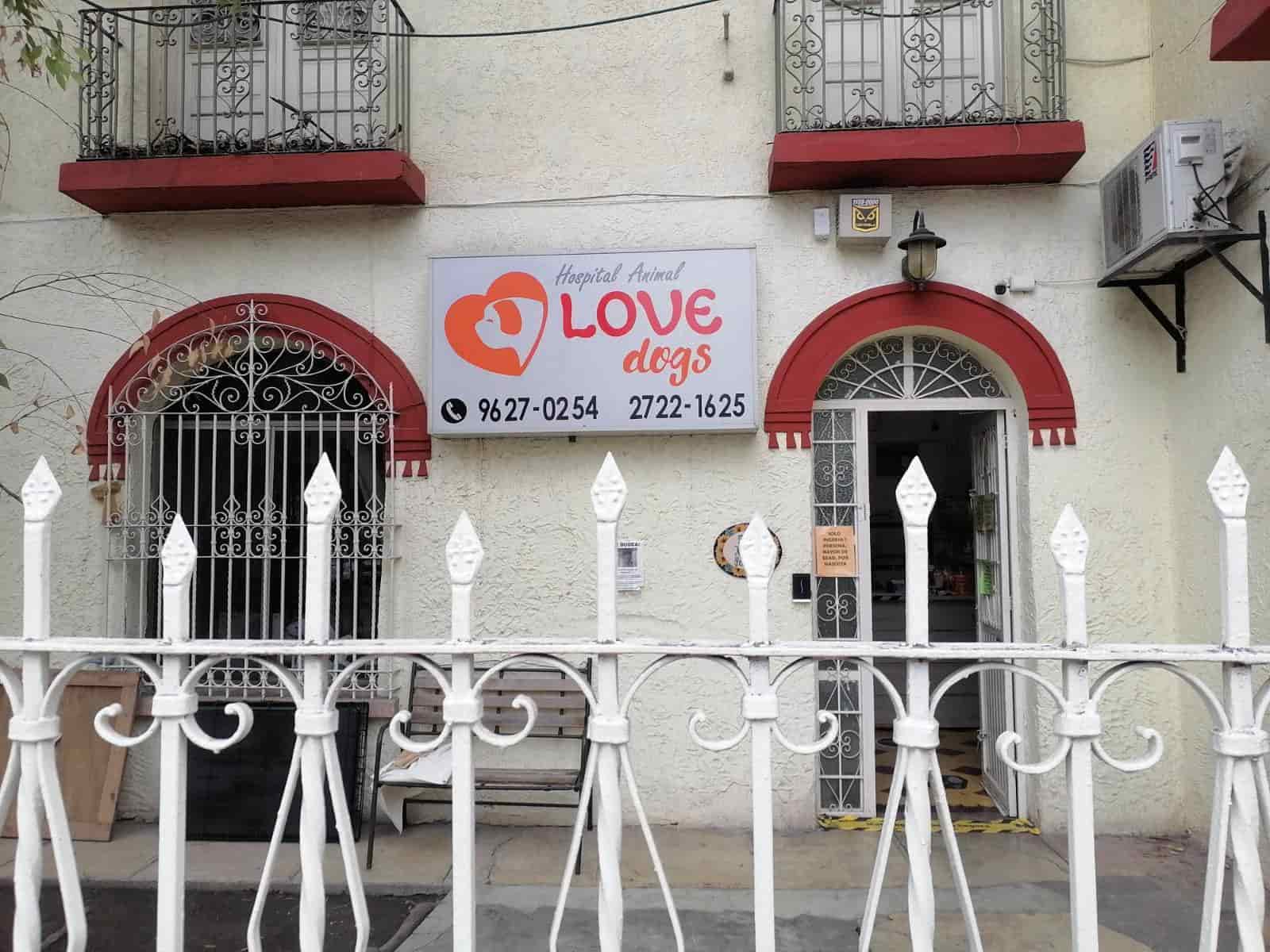 Rescatan de cachorros que fueron alcanzados por al fuego, en la Colonia Industrial