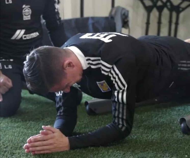 Tigres están de regreso