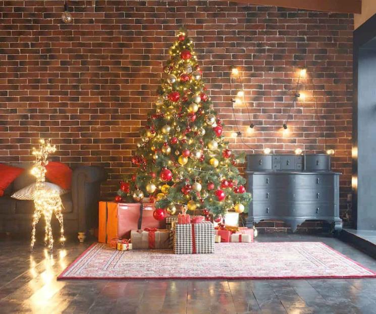 Pino, ilumina los hogares y los llena de esperanza