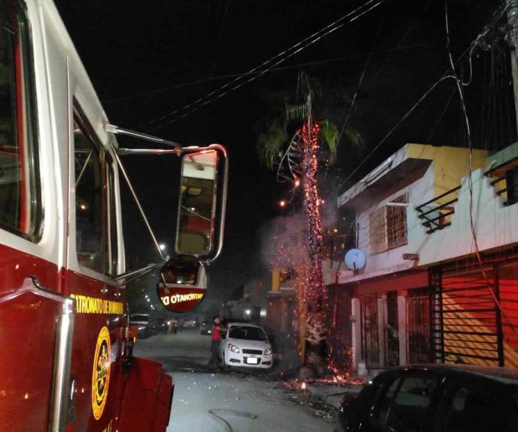 Se incendia palmera frente a vivienda en Apodaca