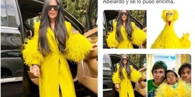 Comparan look Martha Debayle con plumaje de Big Bird