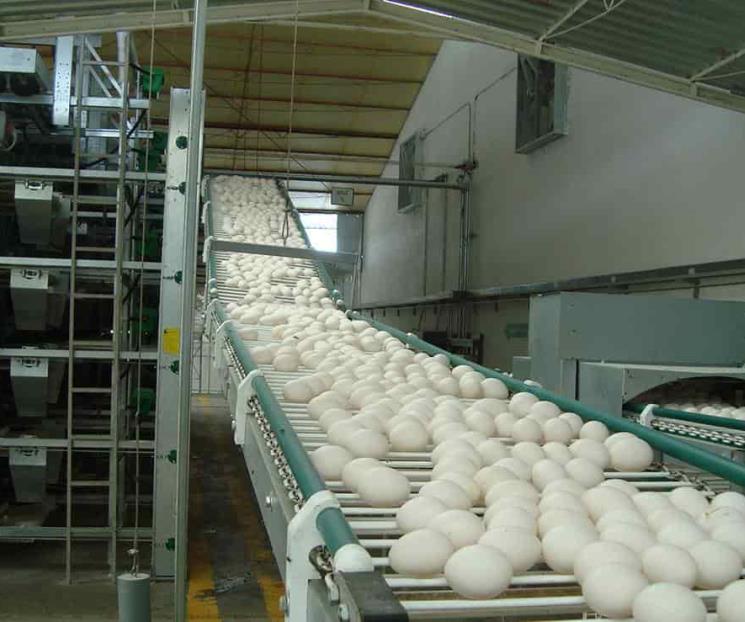 Economía mexicana liga 3 meses a la baja