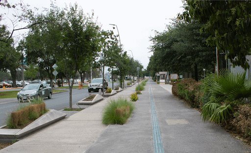 Pugna UANL por espacios más sostenibles