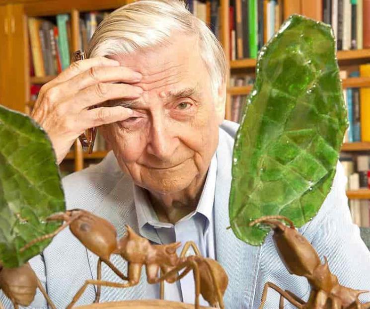 Fallece el biólogo E.O. Wilson
