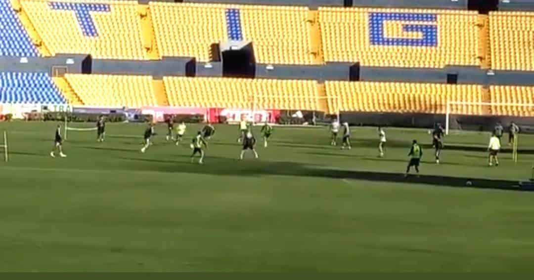 Entrenan felinos; Angulo lo hará hasta la tarde