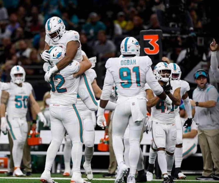 Delfines se meten a la pelea