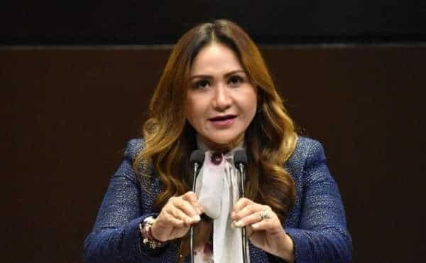 PAN va por registro de menores en orfandad por la pandemia