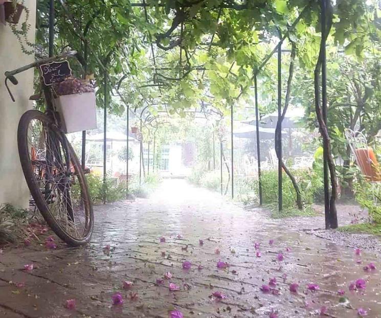 Los patios de Cartago