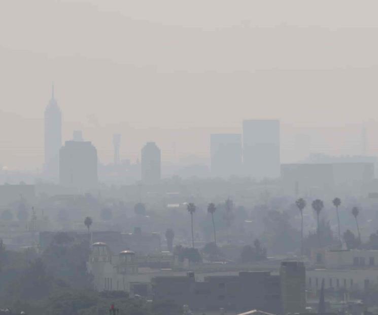 Se mantiene Fase II de Contingencia Ambiental en ZMVT